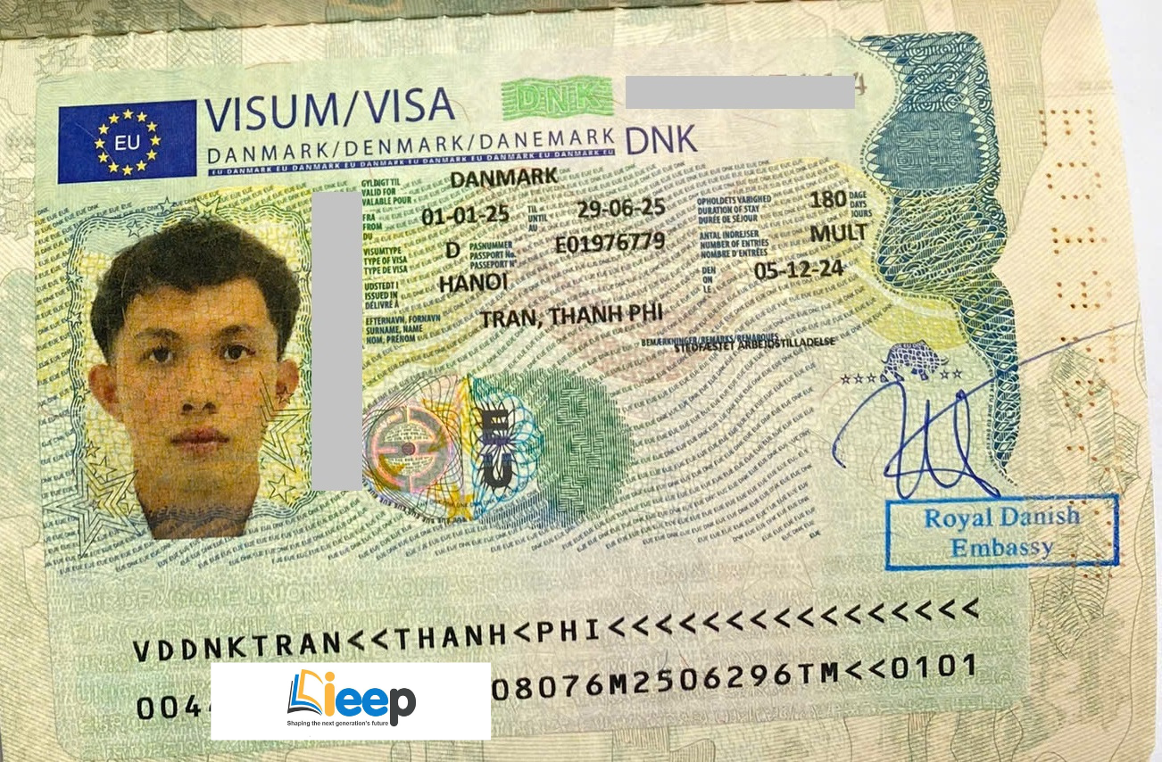 visa phi.png